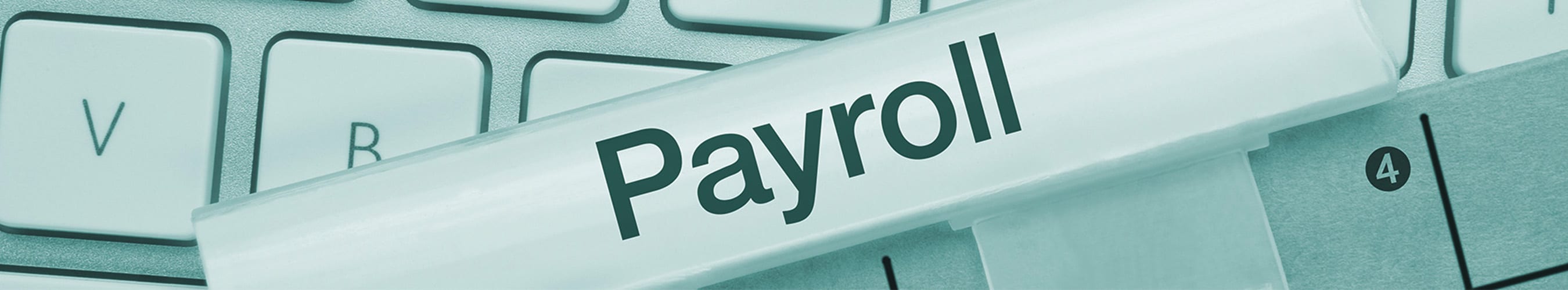 Payroll Services, Including Payroll Tax